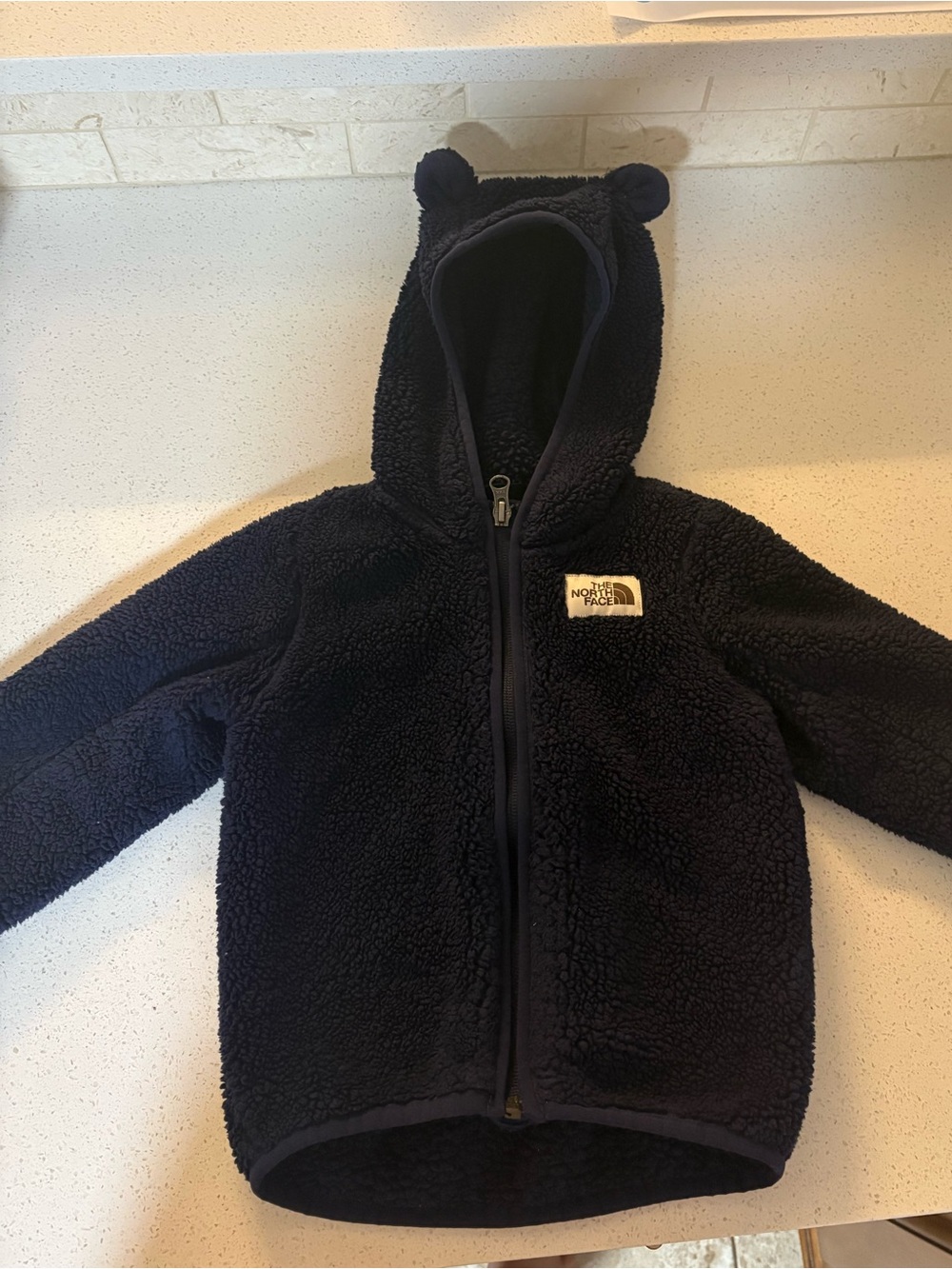 Northface bear hooded fleece jacket